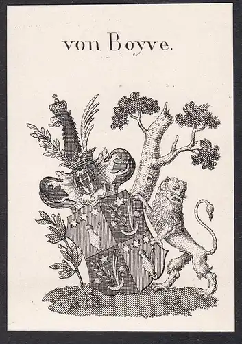 von Boyve - Wappen coat of arms