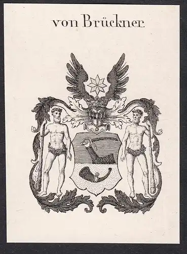von Brückner - Wappen coat of arms