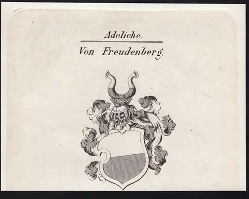 Von Freudenberg - Wappen coat of arms