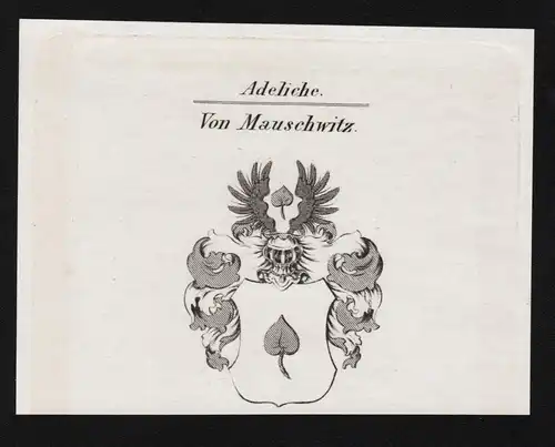 Von Mauschwitz - Wappen coat of arms