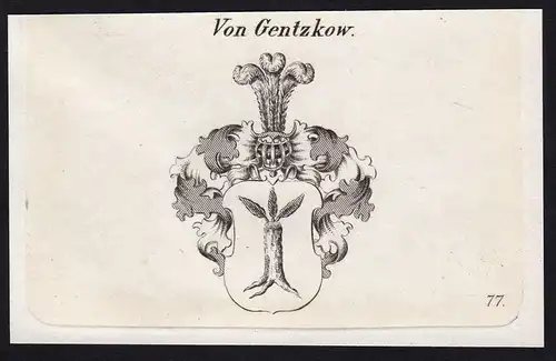 Von Gentzkow - Wappen coat of arms