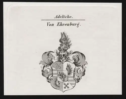 Von Ehrenburg - Wappen coat of arms