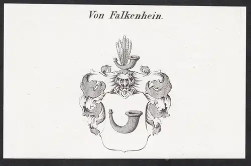 Von Falkenhein - Wappen coat of arms