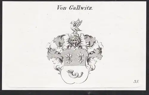 Von Gallwitz - Wappen coat of arms
