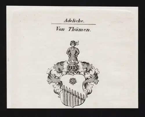 Von Thümen - Wappen coat of arms