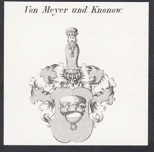 Von Meyer und Knonow - Wappen coat of arms