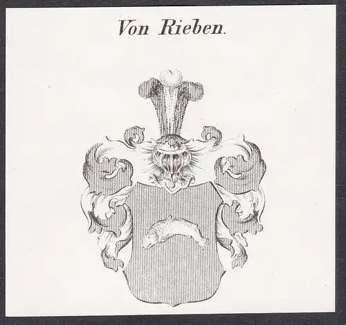 Von Rieben - Wappen coat of arms