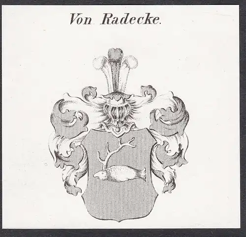 Von Radecke - Wappen coat of arms