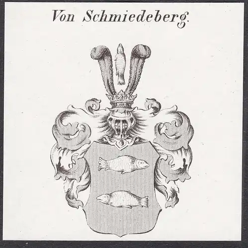 Von Schmiedeberg - Wappen coat of arms