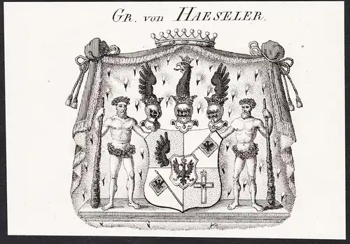 Gr. von Haeseler -  Wappen coat of arms