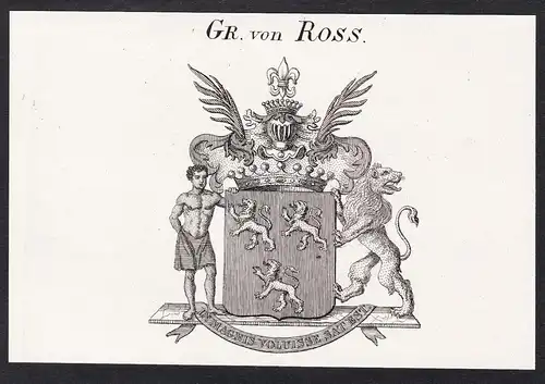 Gr. von Ross -  Wappen coat of arms