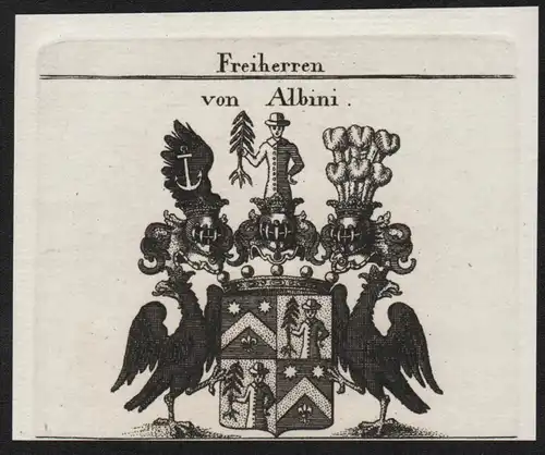 Freiherren von Albini - Wappen coat of arms