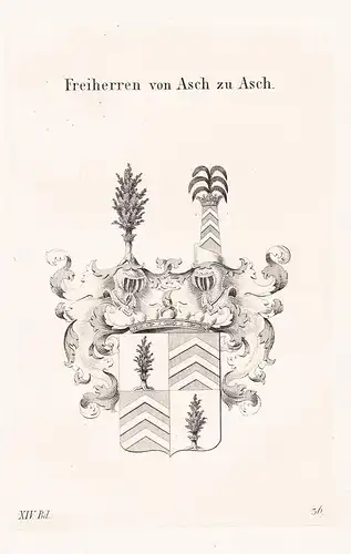 Freiherren von Asch zu Asch - Wappen coat of arms