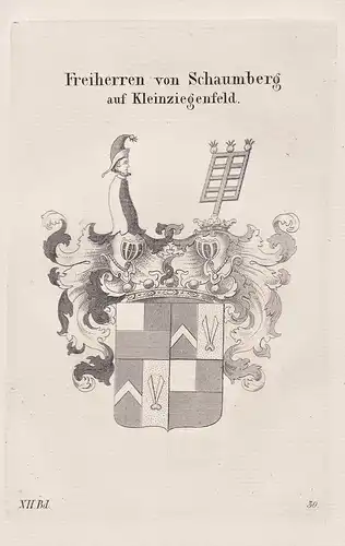 Freiherren von Schaumberg auf Kleinziegenfeld - Wappen coat of arms