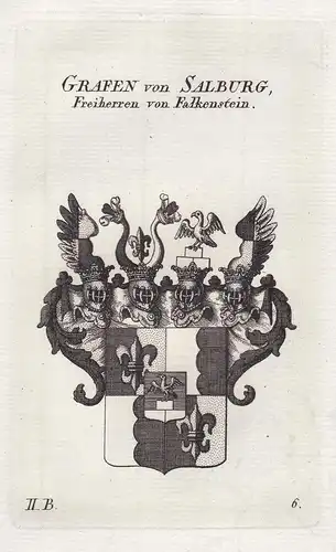 Grafen von Salburg, Freiherren von Falkenstein - Wappen coat of arms