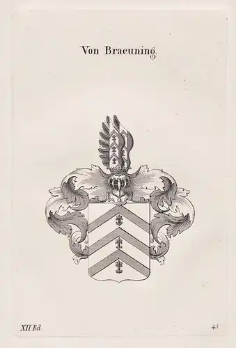 Von Braeuning - Bräuning Wappen coat of arms