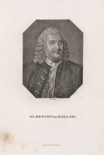 Albrecht von Haller' - Albrecht von Haller (1708-1777) Arzt Mediziner Dichter Bern Portrait
