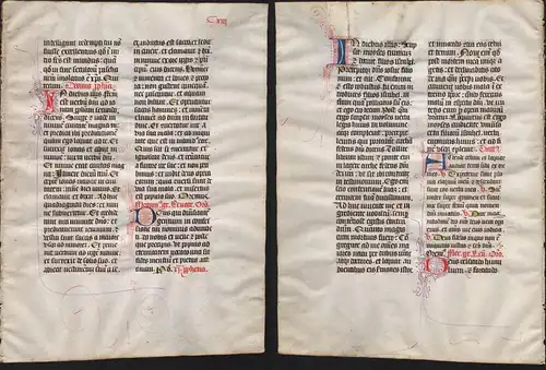 Missal Missale manuscript manuscrit Handschrift - (Blatt / leaf CXIII)