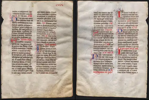 Missal Missale manuscript manuscrit Handschrift - (Blatt / leaf CCCV)