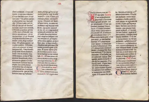 Missal Missale manuscript manuscrit Handschrift - (Blatt / leaf XXV)