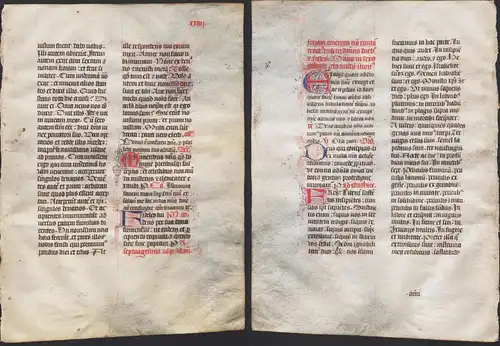 Missal Missale manuscript manuscrit Handschrift - (Blatt / leaf XXIIII)