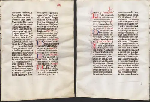 Missal Missale manuscript manuscrit Handschrift - (Blatt / leaf XLVI)