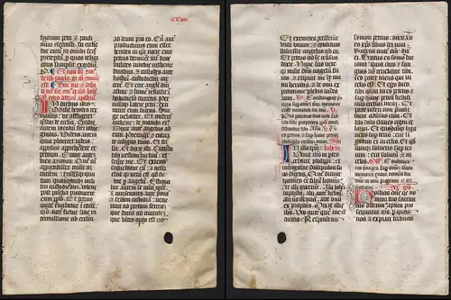 Missal Missale manuscript manuscrit Handschrift - (Blatt / leaf CCXIX)