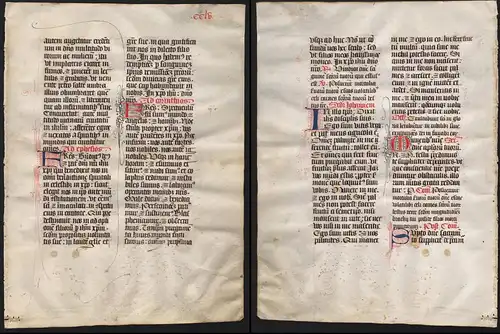 Missal Missale manuscript manuscrit Handschrift - (Blatt / leaf CCLV)