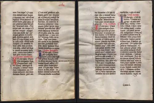 Missal Missale manuscript manuscrit Handschrift - (Blatt / leaf CCLXI)