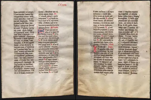 Missal Missale manuscript manuscrit Handschrift - (Blatt / leaf CCXXIIII)