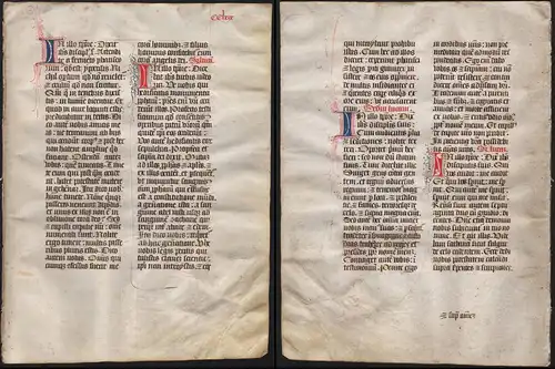 Missal Missale manuscript manuscrit Handschrift - (Blatt / leaf CCLXIX)