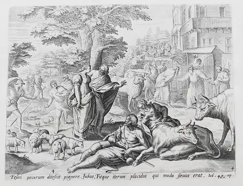 Felici pecorum direscit pignore Jobus... - Job's fortune restored / animals Tiere / Bible Bibel