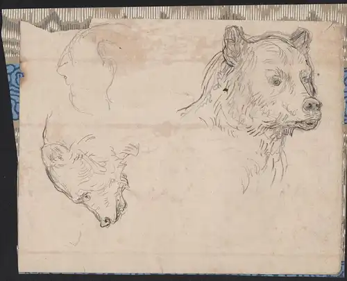 (Sketches of bears on one sheet) - Bär bear ours Bären bears dessin