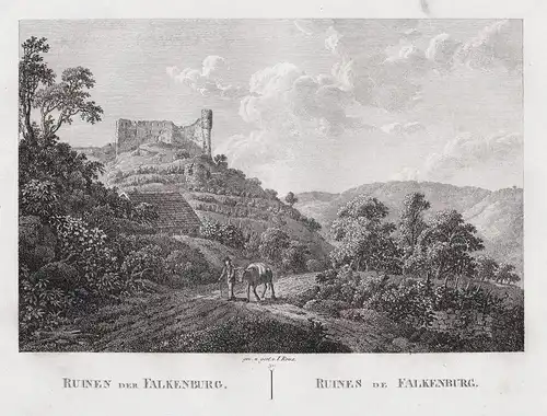 Ruinen der Falkenburg - Burg Reichenstein Falkenburg Trechtingshausen Kupferstich