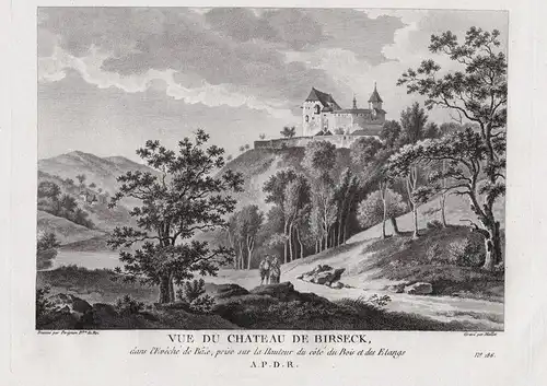 Vue du chateau de Birseck - Schloss Birseck Burg Arlesheim gravure Zurlauben / Schweiz Suisse