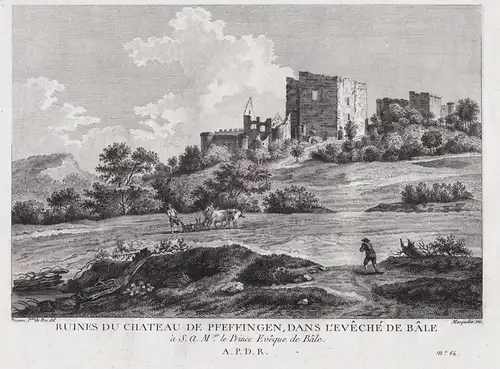 Ruines du Chateau de Pfeffingen, dans l'Eveché de Bale - Burg Pfeffingen Thierstein Arlesheim Kanton Basel-Lan