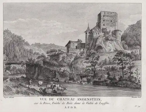 Vue du chateau Angenstein - Schloss Angenstein Duggingen gravure / Schweiz Suisse