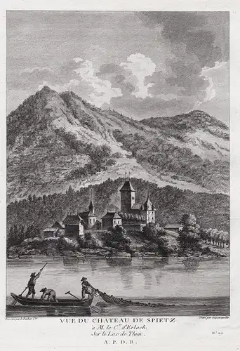  Vue du chateau de Spietz - Schloss Spiez Thunersee gravure / Schweiz Suisse