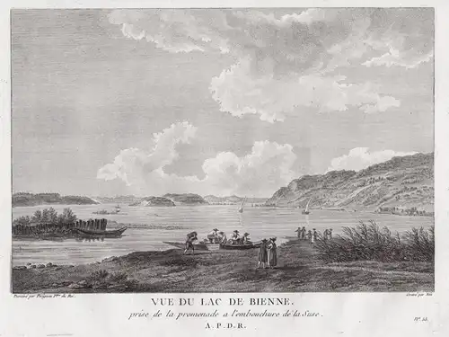 Vue du Lac de Bienne - Bielersee Lac de Bienne Kanton Bern gravure / Schweiz Suisse