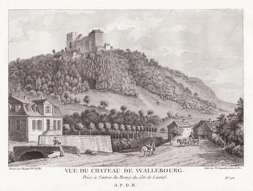 Vue du Chateau de Wallebourg. Prise a l'entree du Bourg du cote de Liestal - Ruine Waldenburg Kanton Basel-Lan