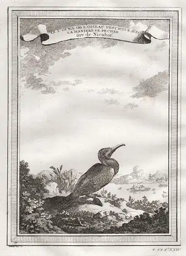 Le L'Ouwa ou l'Oiseau Pescheur - Cormarant Kormoran China Vogel bird birds Vögel