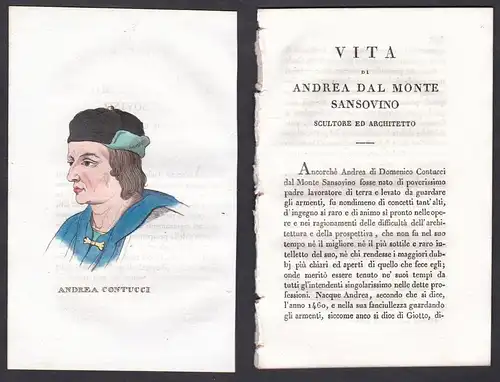 Andrea Contucci - Andrea Sansovino (um 1460-1529) Bildhauer sculptor Italien Italia Portrait Kupferstich coppe