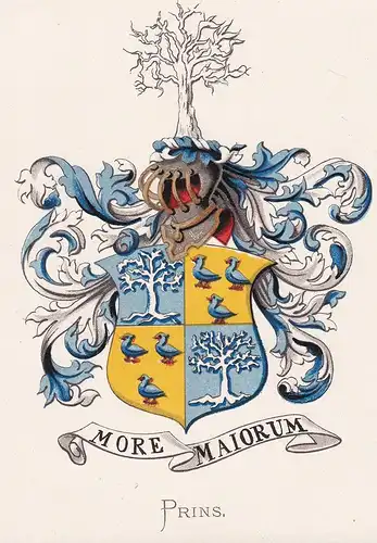 Prins - Wappen coat of arms heraldry Heraldik blason Wapen