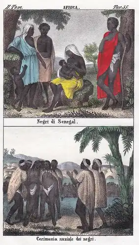Africa. / Negri di Senegal. / Cerimonia nuziale dei negri. - Senegal West Africa Afrika Afrique de l'Ouest Bla