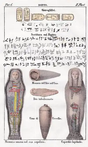Egitto. / Gieroglifici. / Mummia umana nel suo sepolcro. Coperchio lapidario. - Egypt Ägypten Egypte Mummy Mum