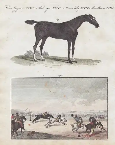 Verm: Gegenst.XXXIX. - Das Wettrennen zu Pferde in England - Pferderennen race Pferd horse England Great Brita