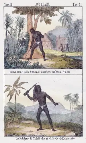 Australia. / Coltivazione della Canna di Zucchero nell'Isola Tahiti. / Un Indigeno di Tahiti che si difende da