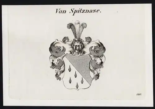 Von Spitznase - Wappen coat of arms Adel Heraldik heraldry