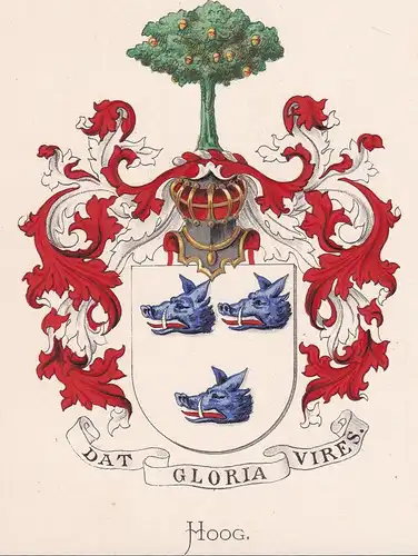 Hoog - Wappen coat of arms heraldry Heraldik blason Wapen