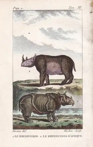 Le Rhinoceros - Le Rhinoceros d'Afrique - Nashorn Rhinocerotidae Rhinoceros Nashörner Afrika Africa Tiere Tier